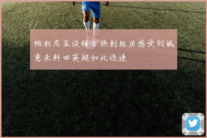 帕利尼亚谈转会热刺经历感受到诚意未料回英超如此迅速