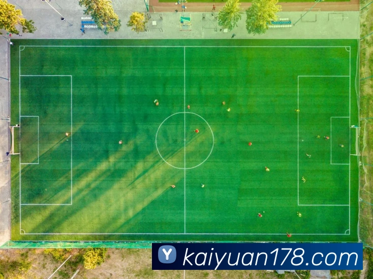 开元体育发展历程